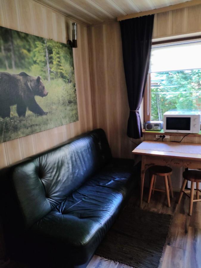 Marynka Apartman Zakopane Kültér fotó